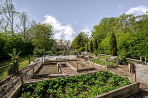 Vegetable garden- click for photo gallery